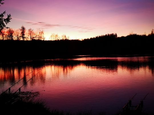 Neuer Teich (Gernrode)-1