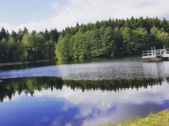 Neuer Teich (Gernrode) ALLE ANGELN