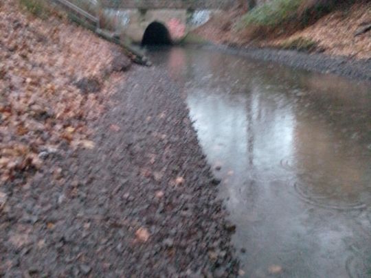 Nordgraben (Berlin-Tegel)