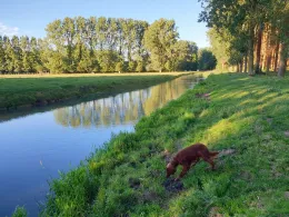Authie (Le Ponchel)-1