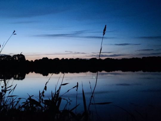 Wardersee (Warder)-2