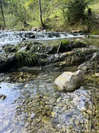 Hachelbach (Schliersee)