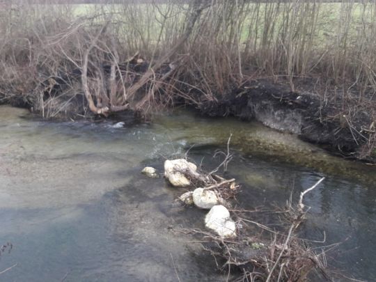 Goldach (Ismaning)-3