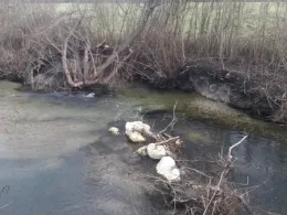 Goldach (Ismaning)-3