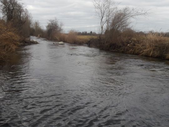 Goldach (Ismaning)-2