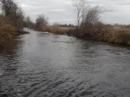 Goldach (Ismaning)-2