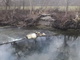 Goldach (Ismaning)-4