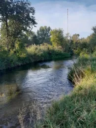 Goldach (Ismaning)-0