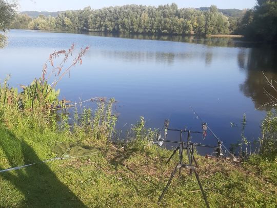 Feilsbachsee (Limbach)-2