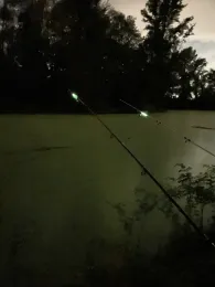 Pappelsee (Meindorf)-2