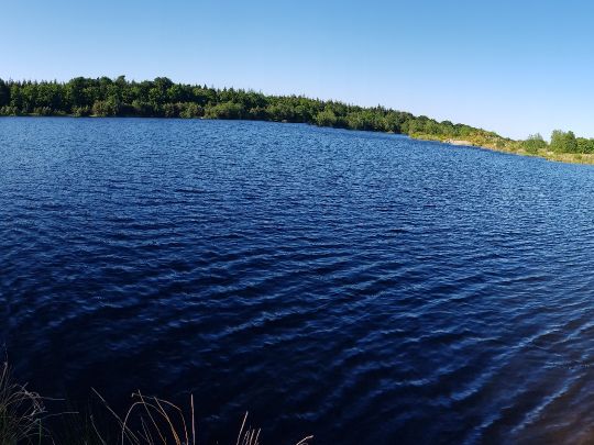 Kiesgrube Wendeling-3