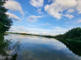 Kiesgrube Wendeling-4