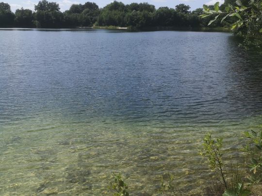 Kiesgrube Wendeling-2