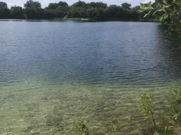 Kiesgrube Wendeling-2