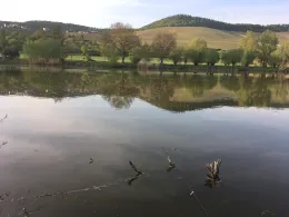 Hohenhaslacher See-4