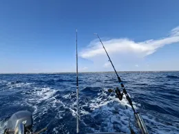 Adria (Umag)-2