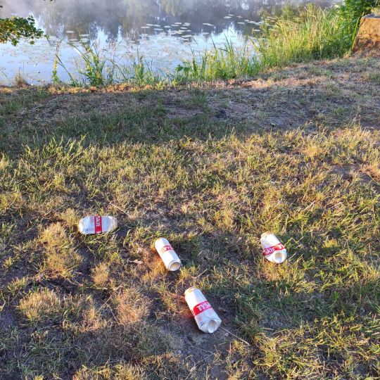 Rieke (Premsendorf)-1