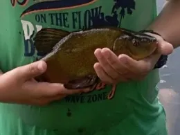 Waldsee (Kirchdorf am Inn)-1