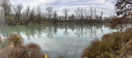 Waldsee (Kirchdorf am Inn)