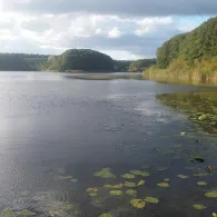 Kleiner Labussee (Wesenberg)-1