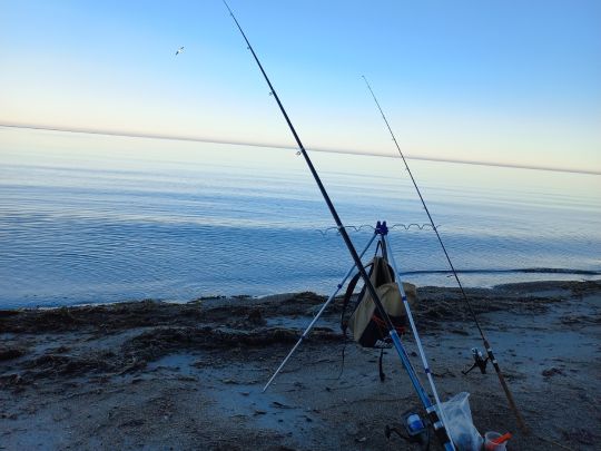 Ostsee (Rerik)