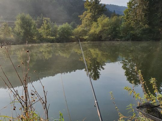 Neckar (Horb am Neckar)-2