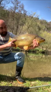 Neckar (Horb am Neckar)-1