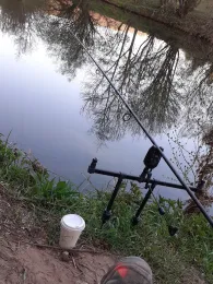 Neckar (Horb am Neckar)