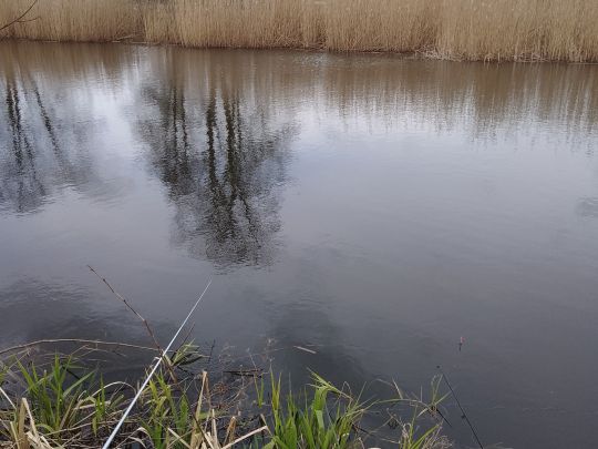 Neuer Werbellinkanal (Marienwerder)-3