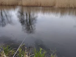 Neuer Werbellinkanal (Marienwerder)-3