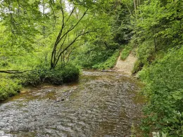 Schönach (Hohenfurch)