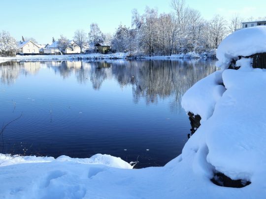 Josephenburger Weiher (Karlskron)-3