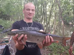 Großer Graben (Oschersleben)