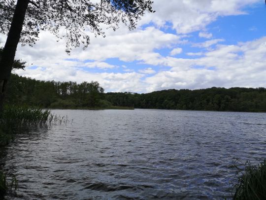 Schlieffenberger See-3