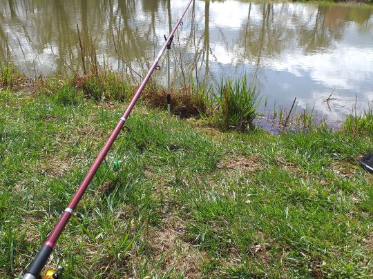 Schwarze Elster (Elsterwerda)-2