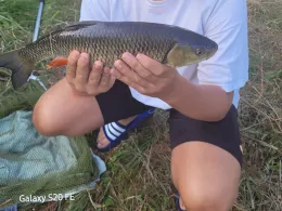 Schwarze Elster (Elsterwerda)