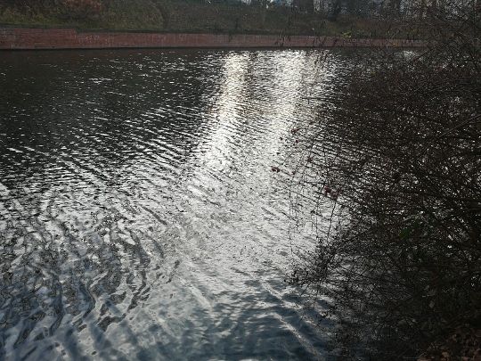 Kuhmühlenteich (Hamburg)-1