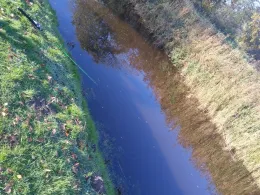 Abelitz-Moordorf-Kanal