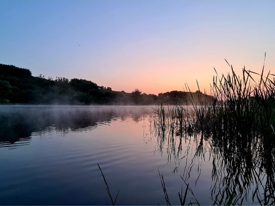 Speicherbecken Rachlau-2