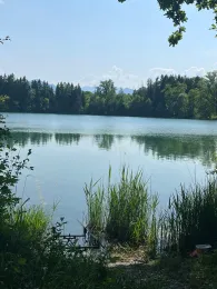 Wöhrsee (Rohrdorf)-1