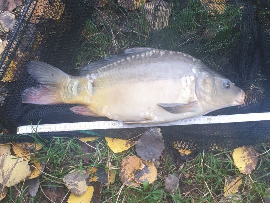 Baggersee Treuenbrietzen-3