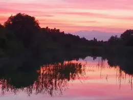 Tongrube Bollstedt 1-3-2