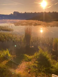 Tongrube Bollstedt 1-3-4