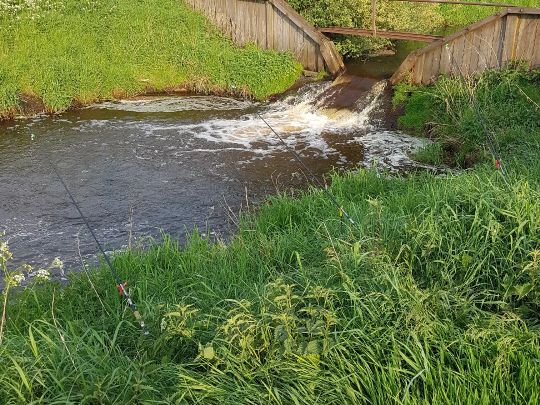 Vehne (Vehnemoor)