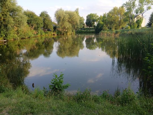Pferdeteich (Glebitzsch)-2