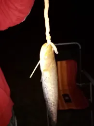 Unstrut (Kalbsrieth)-1