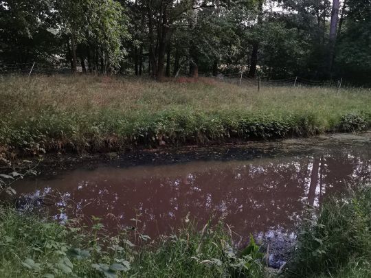 Randgraben (Delmenhorst)-2