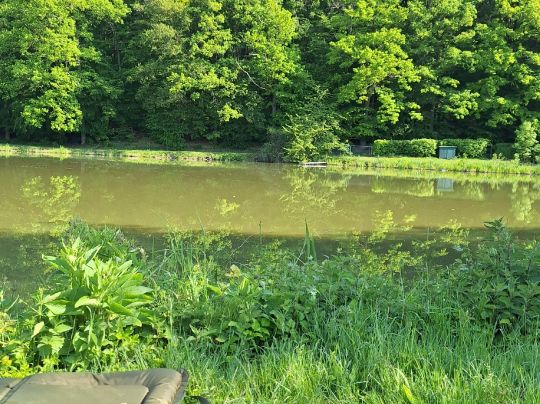 Elmensee (Nordeck)