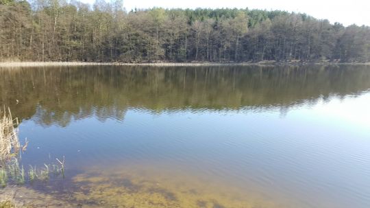 Frauensee (Weberin) angeln