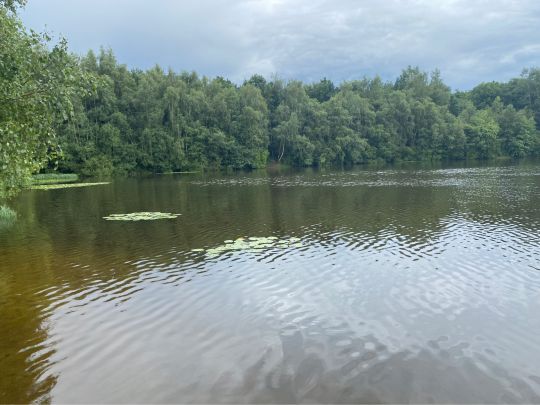 Buntesee-2